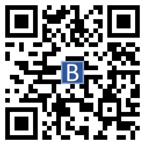 QR-Code Bodo Priesnitz Industrievertretung
